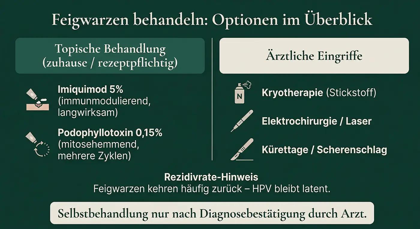 Infografik 'Feigwarzen behandeln': Links Topische Behandlung (Imiquimod 5%, Podophyllotoxin 0,15%); rechts Ärztliche Eingriffe (Kryotherapie, Elektrochirurgie/Laser, Kürettage); Hinweis: Rezidivrate hoch