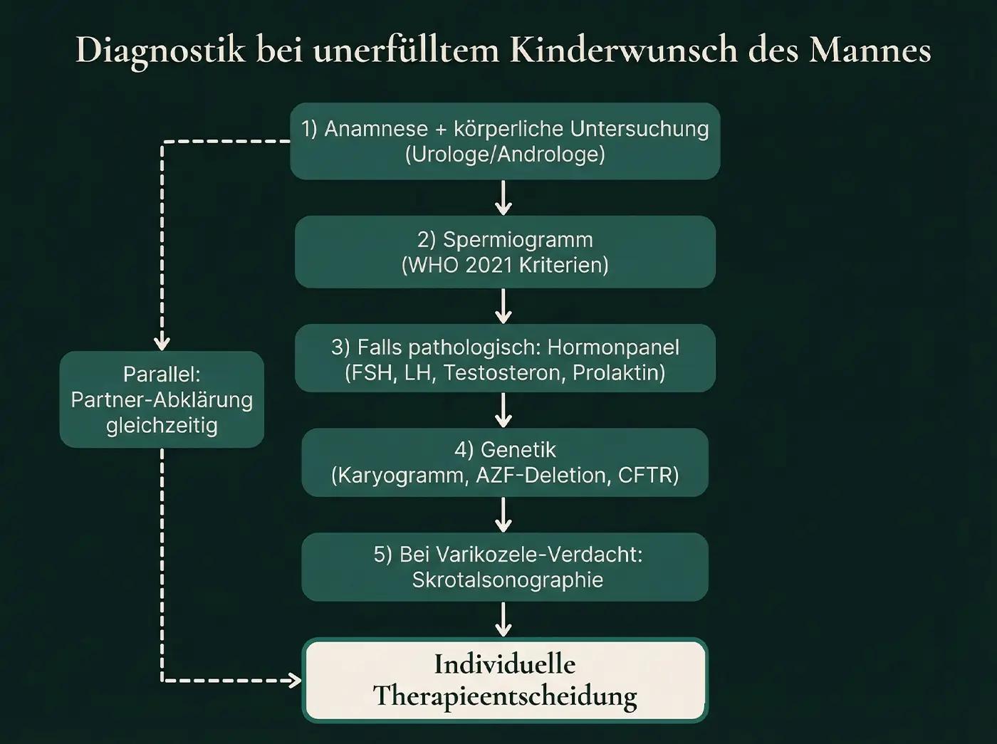 Flussdiagramm Diagnostik Kinderwunsch: Anamnese → Spermiogramm → Hormonpanel → Genetik → Skrotalsonographie → Therapieentscheidung; parallel gestrichelt: Partner-Abklärung gleichzeitig